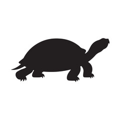 Abstract geometric composition with color accents