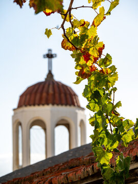 Autumn vine in Kritsa village, Crete, Greece