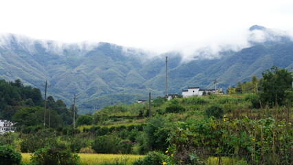 The beautiful mountains landscapes with the green forest and little village as background in the rainy day