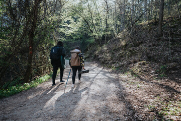 Obraz premium A duo of hikers exploring a serene woodland path, enjoying the tranquil atmosphere of nature under sunlight.
