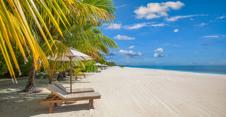  Panoramic romantic beach, summer vacation, chairs umbrella palm, honeymoon couple, luxury travel, sea sand sky, tropical nature, colorful background, scenic coast, sunny day, beach landscape