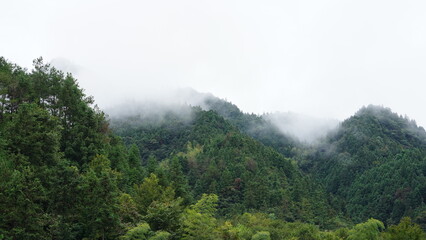 The beautiful mountains landscapes with the green forest and little village as background in the rainy day