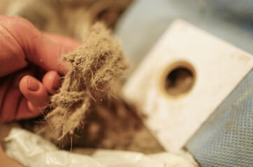Dirty dust from vacuum cleaner container. Vacuum cleaner debris. Dirt from Vacuum Cleaner. Dirty...