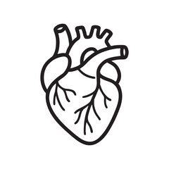 Anatomical Heart Outline Icon Vector on White Background