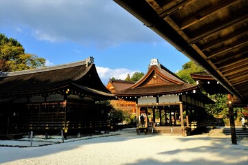 Naklejka premium 日本、京都、紅葉、神社、上賀茂神社、鳥居、木造建築、古代建築、日本文化、歷史名勝、古都京都の文化財、木、綠色、青空、秋、絶景、写真素材