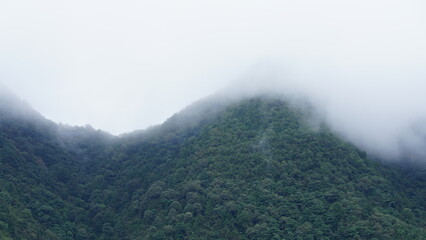 The beautiful mountains landscapes with the green forest and little village as background in the rainy day