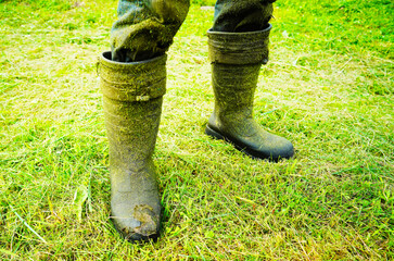 Boots after mowing grass. Gardener in Boots in the mud from grass after mowing grass in garden...