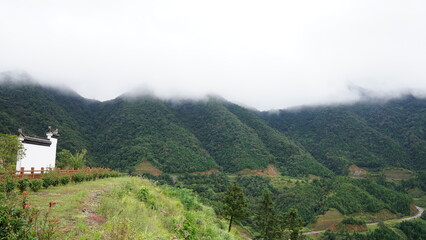 The beautiful mountains landscapes with the green forest and little village as background in the rainy day