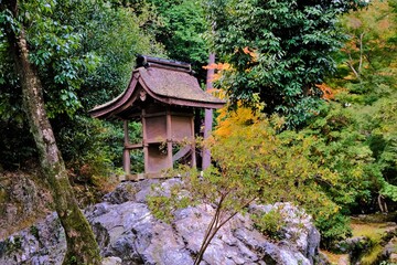 日本、京都、紅葉、神社、上賀茂神社、鳥居、木造建築、古代建築、日本文化、歷史名勝、古都京都の文化財、木、綠色、青空、秋、絶景、写真素材