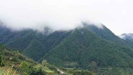Naklejka premium The beautiful mountains landscapes with the green forest and little village as background in the rainy day