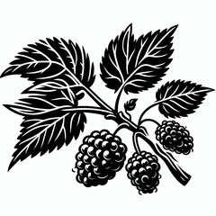 Mulberry. Cartoon Minimal Logo Clipart Silhouette Vector Line Art Illustration. Fruit tree cultivation guide growing morus for harvest and garden bounty.