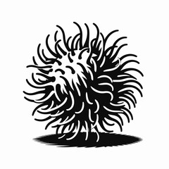 Obraz premium Rambutan. Cartoon Minimal Logo Clipart Silhouette Vector Line Art Illustration. Tropical fruit enjoyment a healthy treat nutritious diet option for people.
