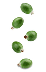 feijoa fruits falling on transparent background