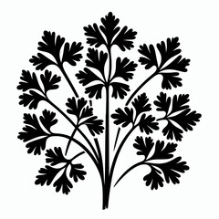 Parsley. Cartoon Minimal Logo Clipart Silhouette Vector Line Art Illustration. Herb fresh garden garnish culinary flavoring cooking ingredient veggie addition.