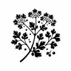 Naklejka premium Coriander. Cartoon Minimal Logo Clipart Silhouette Vector Line Art Illustration. Cilantro culinary herb cooking ingredient flavoring spice kitchen aroma botanical flavor.