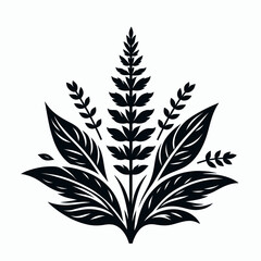 Fototapeta premium Sage. Cartoon Minimal Logo Clipart Silhouette Vector Line Art Illustration. Herb an aromatic plant with wisdom knowledge and natural remedy for wellbeing.