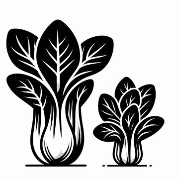 black bok choy plants on white background clip art preview