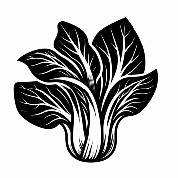 black and white bok choy graphic clip art preview