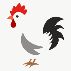 Obraz premium Silkie Chicken