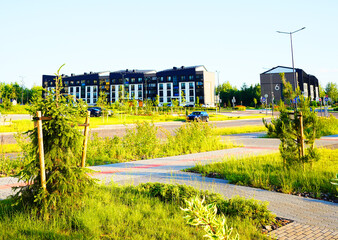 Planting trees, Pine tree at residential complex. Landscaping for urban spaces. New apartment...