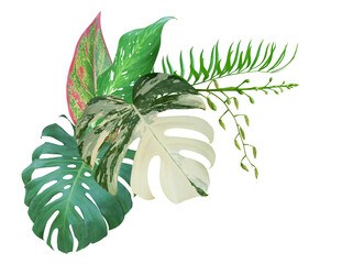 Bouquet of tropical green leaves botanical decorative arrangement nature backdrop isolated on transparent background