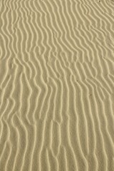 Beach sand background from Baltic Sea, Poland