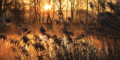 Herbstlandschaft am See im Abendlicht, Bayern, Deutschland, Panorama 
