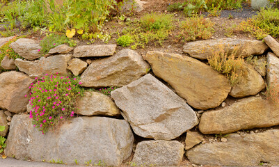 Steinmauer mit Pflanzen im Garten