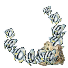 Corner semicircle border of black-white striped tropical fish, beige sponge coral. Watercolor underwater life template on white background for sea design, diving, scrapbooking, stickers, textile.