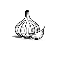 Garlic bulb and clove rustic sketch, black line kitchen vegetable vector illustration isolated on a white background