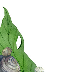 Watercolor frame made of watercolor monstera leaves.