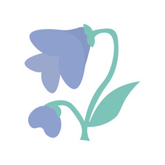 vector illustration of a bluebell flower