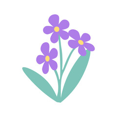 vector illustration of an angelonia flower