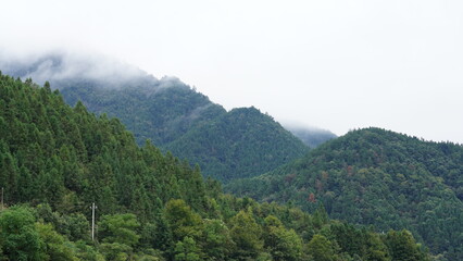 The beautiful mountains landscapes with the green bamboo forests and little country road as background in the countryside of the China