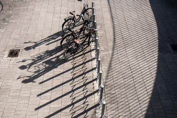 Minimalist bicycle lineup with long shadows in Copenhagen public space, Denmark, representing sustainable transport and morning light patterns in an urban ecological infrastructure setting