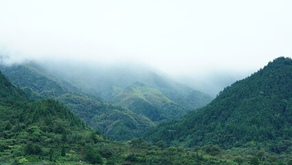 The beautiful mountains landscapes with the green bamboo forests and little country road as background in the countryside of the China
