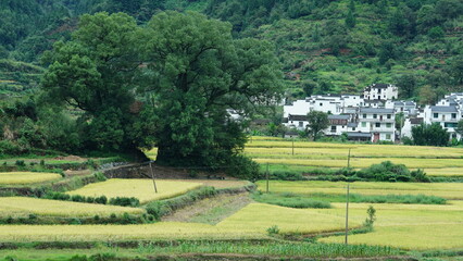The beautiful mountains landscapes with the green forest and little village as background in the countryside of the China