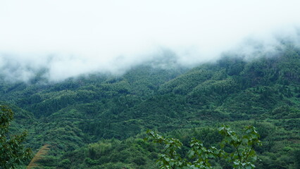 The beautiful mountains landscapes with the green bamboo forests and little country road as background in the countryside of the China