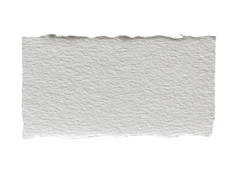 A rectangular piece of off-white paper, roughly torn at the edges