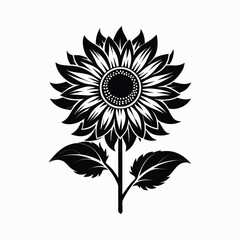 Fototapeta premium High contrast sunflower silhouette graphic design