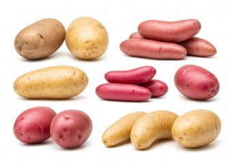 Obraz premium potatos on white background isolated 