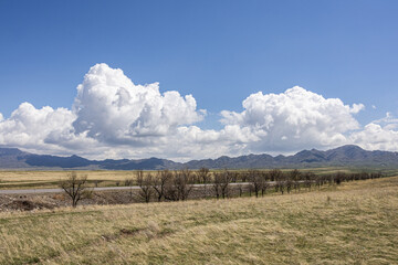 Spring steppe in Kazakhstan with mountains and trees
