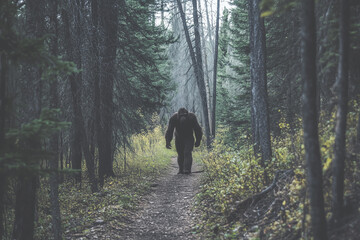 Rare Sighting of Bigfoot Walking Along a Forest Pathway