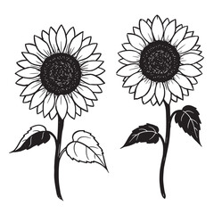 Detailed black and white illustration of two blooming sunflowers with leaves and stems