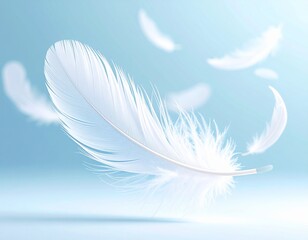 Obraz premium A feather with soft edges floating 