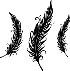 Obraz premium Ornate Feather Silhouette Design
