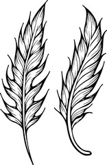Obraz premium Ornate Feather Silhouette Design