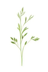Fototapeta premium Flat vector of wild grass leaf art illustration.