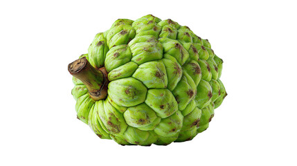 Fototapeta premium Custard apple isolated on transparent background