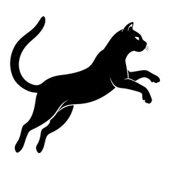 Black Cat in Mid-Air Silhouette